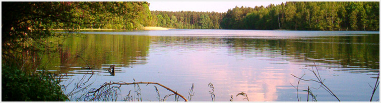 pluszne